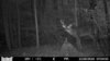 HUNT0291.JPG