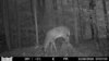 HUNT0294.JPG