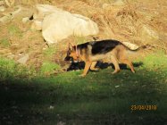 IMG_1758.JPG