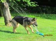 IMG_1908.JPG
