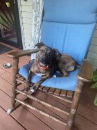 IMG_1586.jpeg
