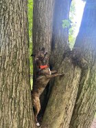 IMG_1252.jpeg