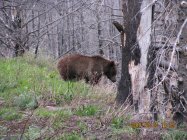 IMG_0114.JPG