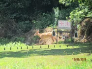IMG_2848_zpsdtnpskwi.webp