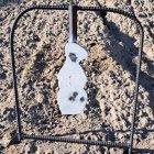 IMG_0067.jpeg
