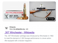 Screenshot 2025-09-04 at 07-47-03 307 Savage - Search.png