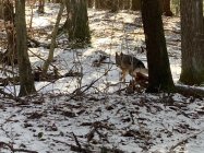 IMG_4970.jpeg