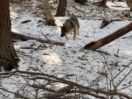 IMG_4969.jpeg