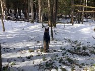 IMG_4971.jpeg