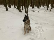 IMG_4891.jpeg