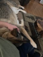 IMG_4803.jpeg