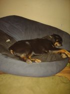 IMG_20241228_005537097.jpg