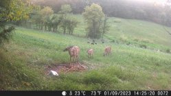 IMG_9432.jpeg