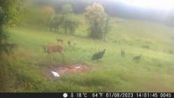 IMG_9431.jpeg
