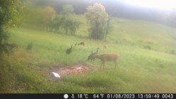 IMG_9430.jpeg
