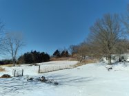 20220203_131120.jpg