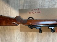 IMG_5230.jpeg