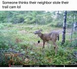 IMG_4037.jpeg
