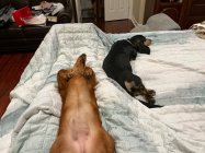IMG_0925.jpeg