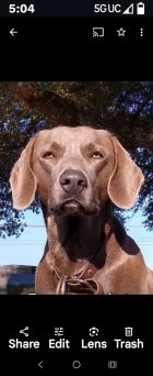 1000002596.png