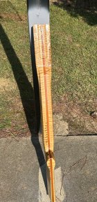 IMG_3328.jpeg