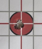 IMG_1896.jpeg