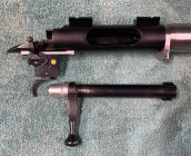 IMG_3725.jpeg