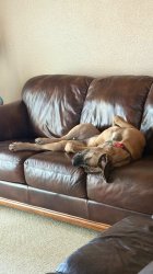 IMG_1719.jpeg