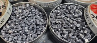 Pellet2.jpg