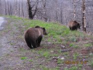 IMG_0118.JPG