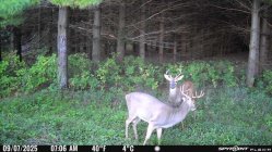 IMG_20250907_203442.jpg