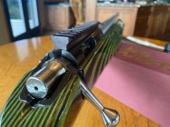 IMG_2431.jpeg