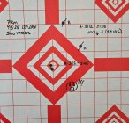 09082025_139LRX 300yards.jpg