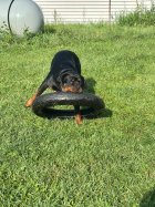 IMG_9776.jpeg