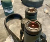 IMG_4061.jpeg