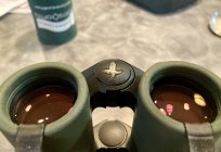 IMG_4063.jpeg