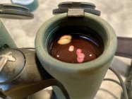 IMG_4066.jpeg