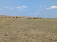 PXL_20250909_213032370.jpg