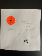 IMG_1293.jpeg