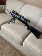 IMG_1295.jpeg