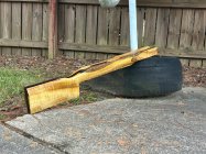 IMG_3369.jpeg