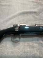 IMG_1437.jpeg