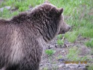 IMG_0117.JPG