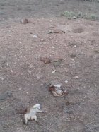 20250912_101952.jpg