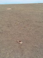 20250912_112849.jpg