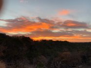 IMG_1242.jpeg