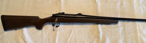 IMG_5320.jpeg