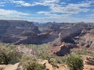 IMG_2317.jpeg
