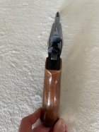 IMG_8303.jpeg