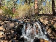 IMG_0166.jpeg